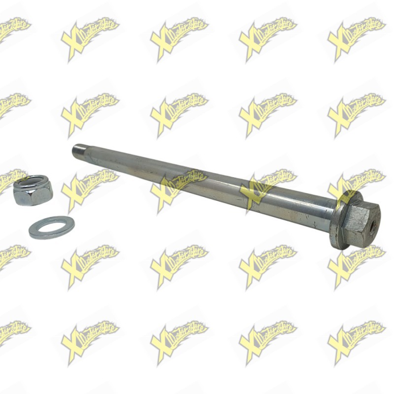 Perno Ohvale ruota posteriore C40 completo 110/160 EVO 03.RA.0011.L