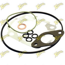 Kit Guarnizioni gruppo termico Polini D.47 H2o ghisa Minarelli orizzontale 209.0226