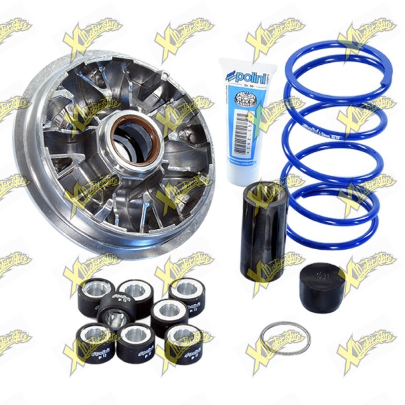 Polini Variator for Hi speed Piaggio Beverly 350 241.699