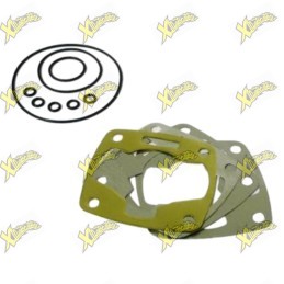 Kit guarnizioni Bzm per cilindro Ø40 50cc per motore Polini Reverse – Codice 105018001