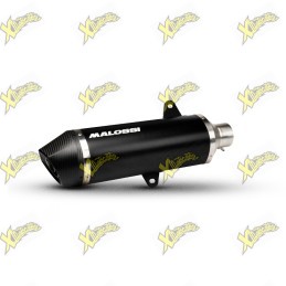 Malossi RX Black exhaust...