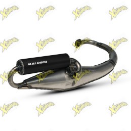 Malossi Flip exhaust...