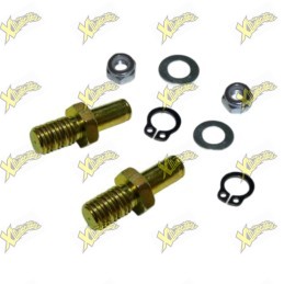 Bzm clutch plate pins with M6 self-locking nut (2pcs) 005001