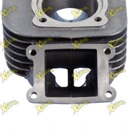 Polini 70 Evolution Cylinder Kit for Minarelli Vertical 10 mm Pin 166.0074/E