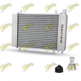 Radiatore Malossi Mhr 7115500