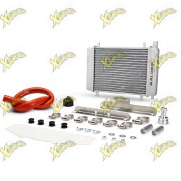 Malossi Mhr 7115506...