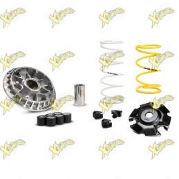 Malossi Variator for Honda...