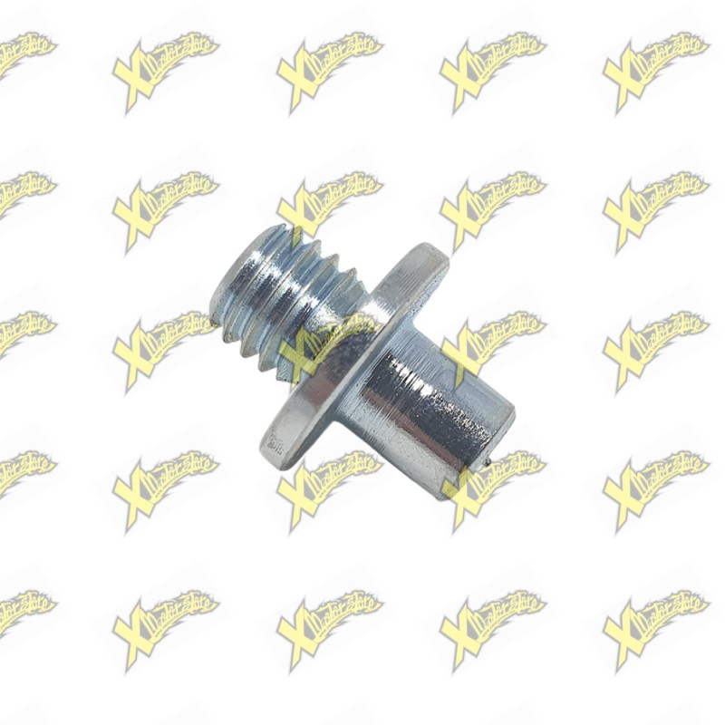 Threaded pin with brake caliper support for aluminum swingarm dm