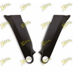 Protezioni Telaio in Carbonio Ducati Panigale V4 96981291AA