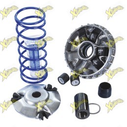 Polini Maxi HI-Speed Variator SYM 125 AIR Euro 5+ 241.769