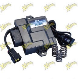 Polini ECM Engine Control Unit for Piaggio / Vespa 50 Euro 5 2025 TFT – 171.0025
