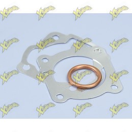 Polini gaskets series