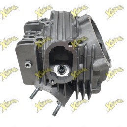 Testa Ohvale 160 4S 01.SW.0108.L