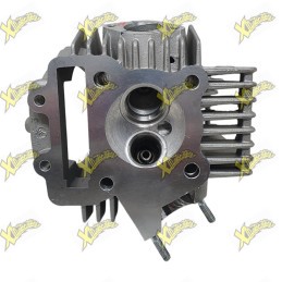 Testa Ohvale 160 4S 01.SW.0108.L