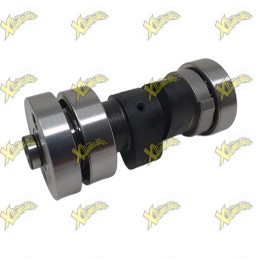 Ohvale Gamp shaft complete 01.SW.0201.L