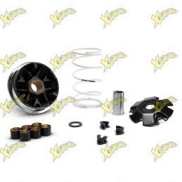 Malossi Multivar 2000 Variator for 50cc 4T Scooters – 5120225