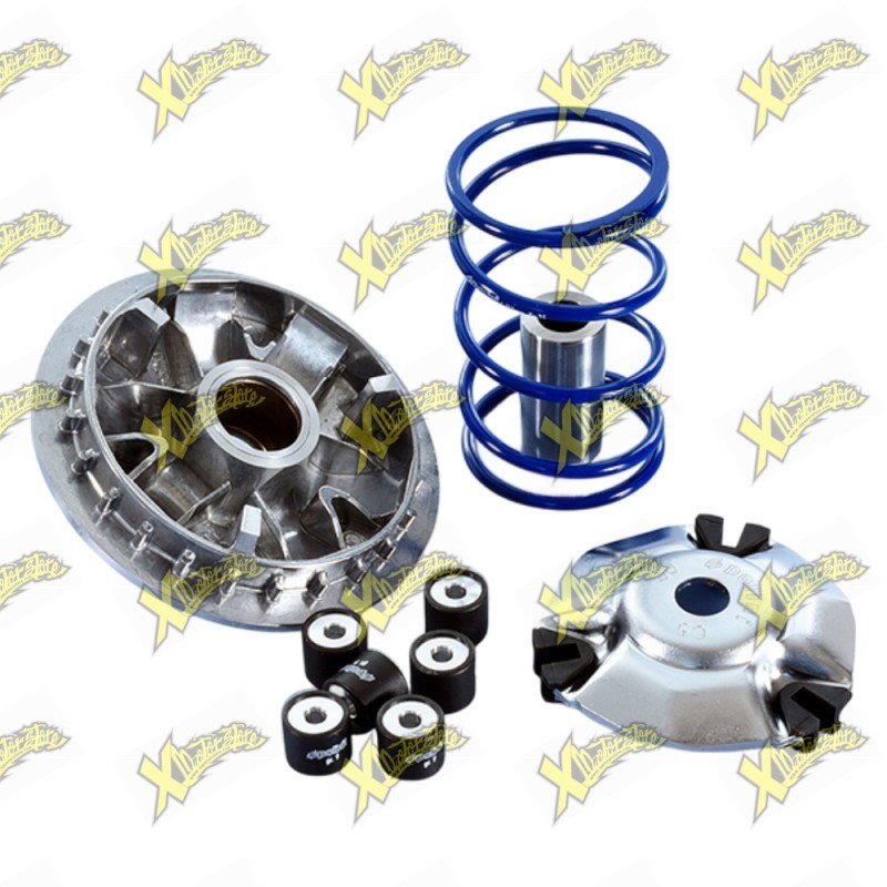 Polini Maxi Hi-Speed Variator for Zontes 125 D E5 241.775
