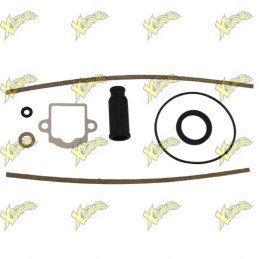 Guarnizioni carburatore sha 14/15 Dellorto 5253300 77