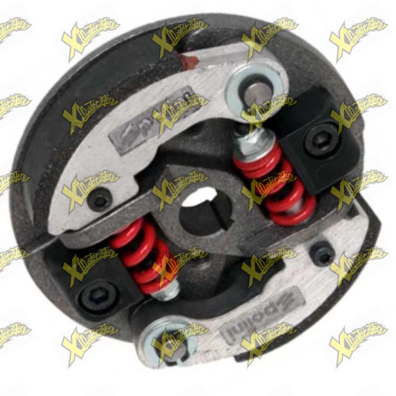 Frizione completa 2 masse motore Polini Reverso 143.160.014