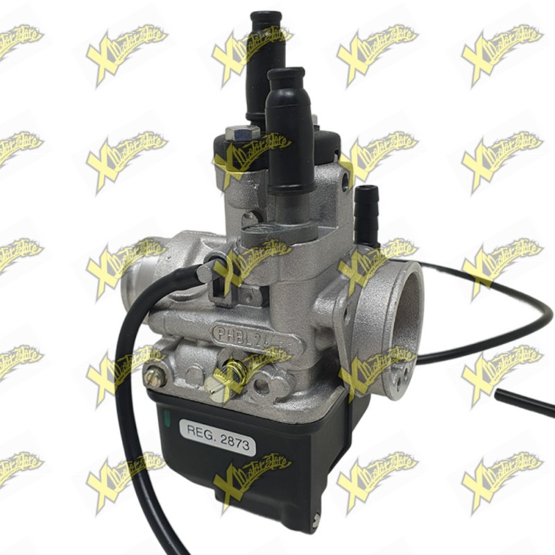 Ohvale carburetors Dellorto for 110 02873