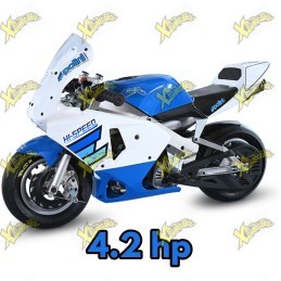 Minimoto Polini 910 RS aria bicolore 4,2 HP ruote 6,5" 143.000.253