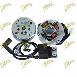 Accensione Polini per Gilera Runner 125 180 e Piaggio Hexagon 125 180 171.0565