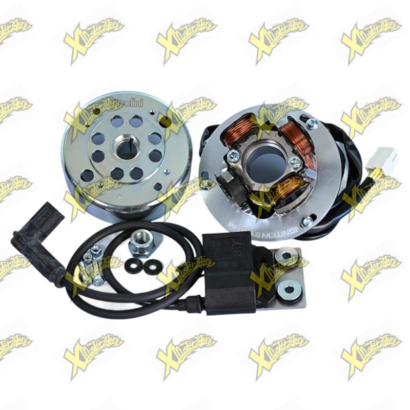 Polini Ignition Kit for Gilera Runner 125 180 and Piaggio Hexagon 125 180 171.0565