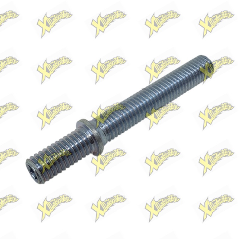 Vite registro tendicatena forcellone originale Ohvale GP-7 04.FO.0011.L