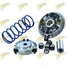 Polini Maxi Hi-Speed Variator for QJ Motor SQ16 125 Euro 5+ 241.778