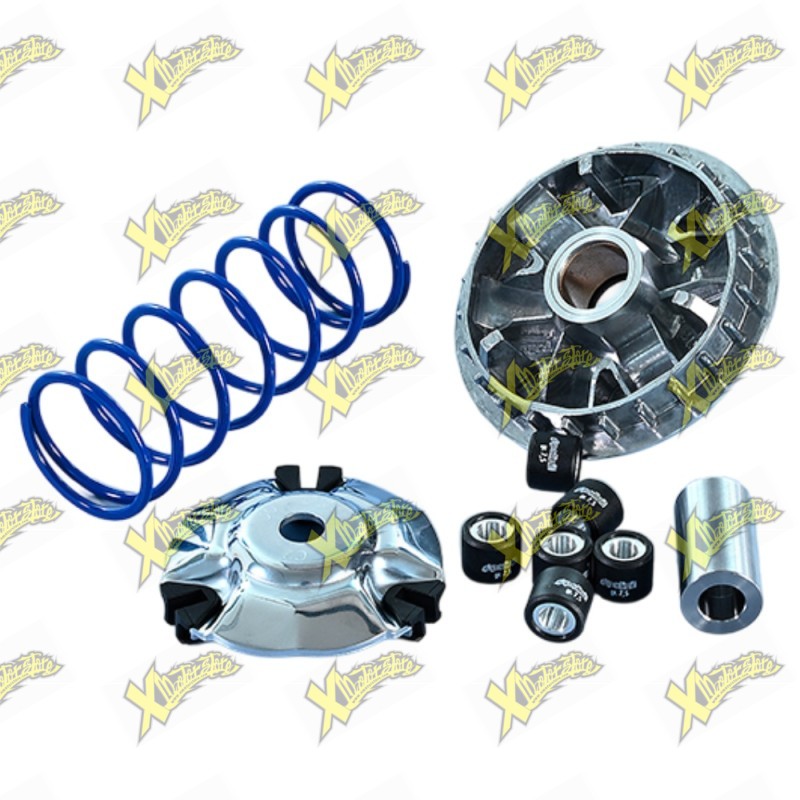 Variatore Polini Maxi Hi-Speed per QJ Motor SQ16 125 Euro 5+ 241.778