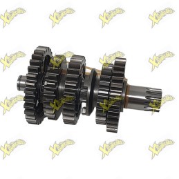 Gruppo albero secondario completo originale Ohvale GP-7 250 04.SX.1330.L