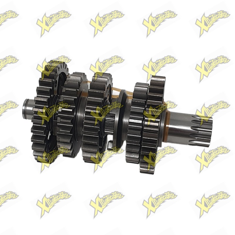 Original Complete Secondary Shaft Assembly Ohvale GP-7 250 04.SX.1330.L