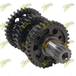 Gruppo albero secondario completo originale Ohvale GP-7 250 04.SX.1330.L