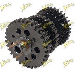 Original Complete Secondary Shaft Assembly Ohvale GP-7 250 04.SX.1330.L