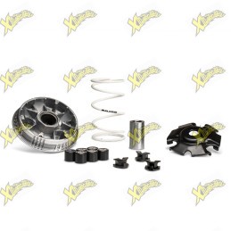 Variatore Malossi Multivar 2000 Sym 125 4T Euro 5 / Euro 5+ 5119860