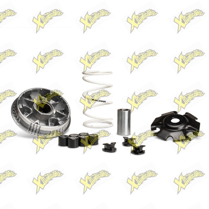 Malossi Multivar 2000 Variator for Sym 125 4T Euro 5 / Euro 5+ 5119860