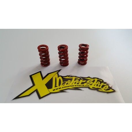 3 red springs IAME CS