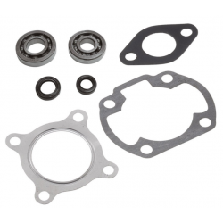 Kit cuscinetti Skf + guarnizioni cilindro Kymco Air 50 2T