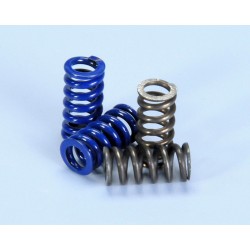 SET MOLLE FRIZIONE SPEED CLUTCH 2G EVO.2 POLINI