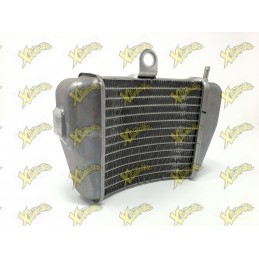 RADIATORE MINIMOTO STAMAS STANDARD